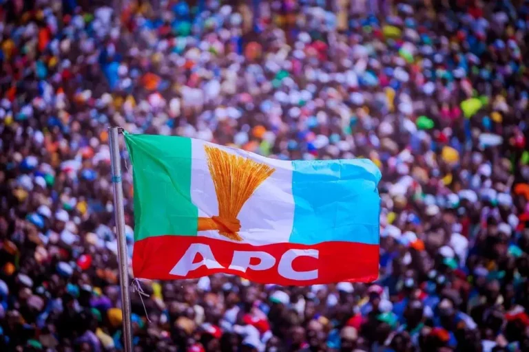 APC-Flag-in-Rally